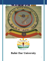 Bahir dar university project final report (1).pdf